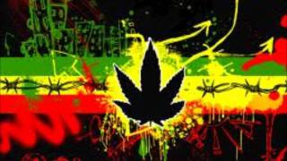 Shaggy -REGGAE VIBES.wmv