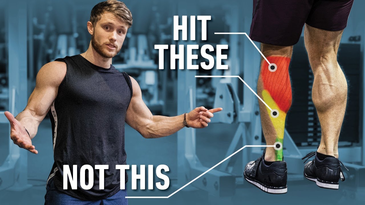 <h1 class=title>How To FORCE YOUR CALVES To Grow With Smarter Training Methods</h1>