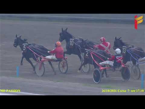 VII Corsa del 26 Ottobre 2021   3 Anni   Metri 1600   TQQ