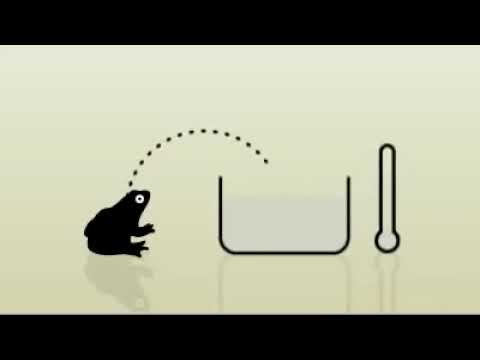 Wie der Frosch im heissen Wasser