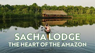 🐒 Explore the Ecuadorian Amazon Jungle ~ Sacha Lodge ~ Ecuador Wildlife &amp;amp; Nature Rainforest Tours 🇪🇨