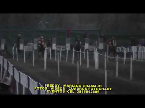 picante soy vs marco Polo vs panadero hipico Monteagudo Tucumán 🐎