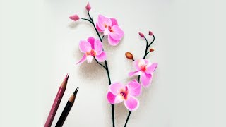 How to draw orchids -- Colored pencil tutorial