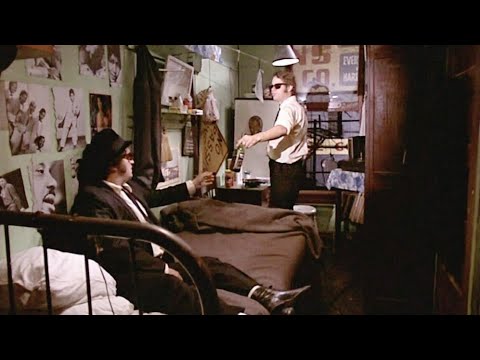 Elwood's Apartment Uncut | The Blues Brothers | HD