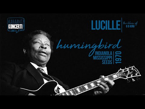 Lucille: Hummingbird