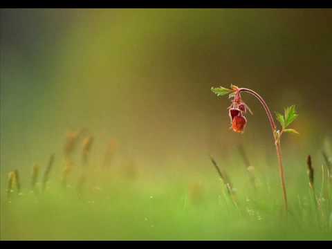 Georgi Andreev - Two Worlds