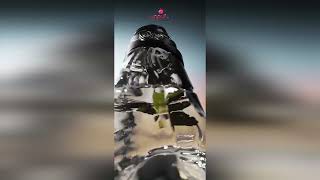 Video produs
