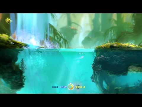 Ori and the Blind Forest water bug