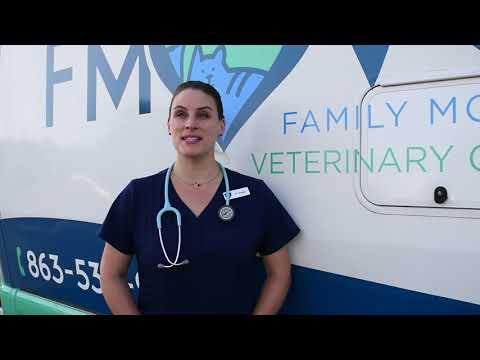 download lagu mp3 mp4 Mobile Veterinary Practice, download lagu Mobile Veterinary Practice gratis, unduh video klip Mobile Veterinary Practice
