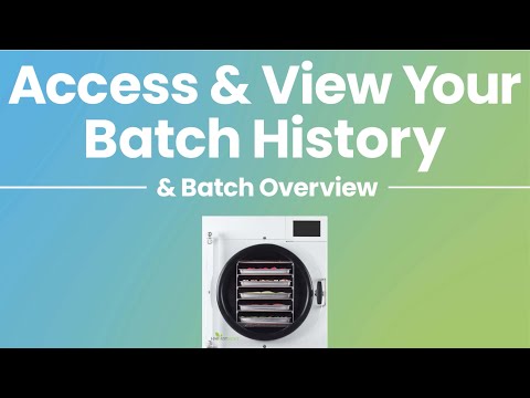 Accessing and Viewing Your Batch History