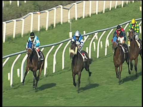 Galoppo 06/04/2016 - 6° corsa