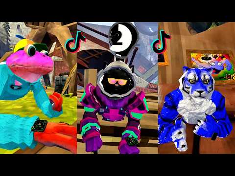Animal Company 🎯💨  Panic & Hilarious Compilation