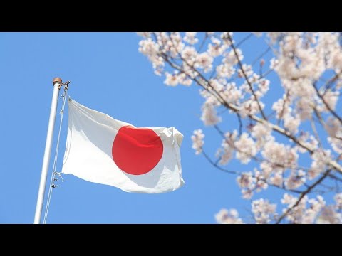 日本語での絵文字とその意味!!!!! (Emojis and their meanings in Japanese!!!!!)