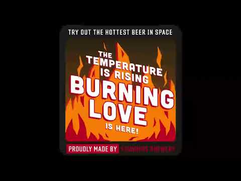 Karim Mika, David Shane - Losing You