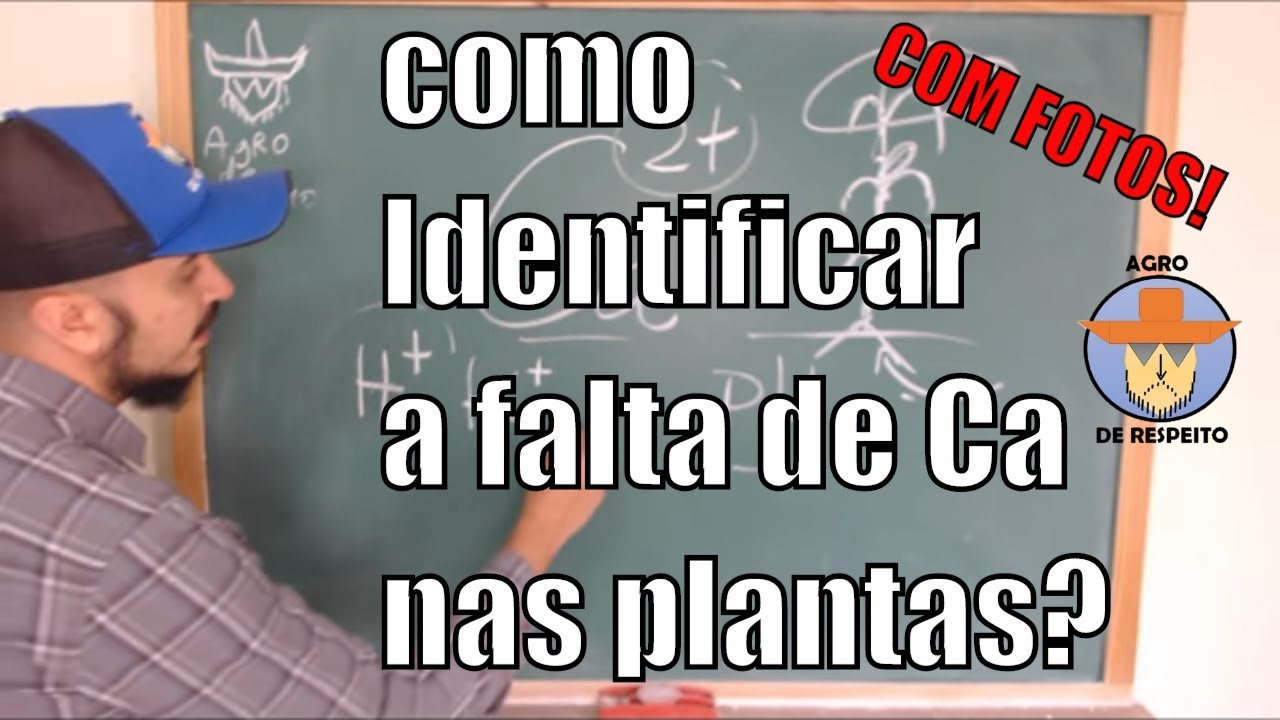 Deficiência de CÁLCIO em plantas - Como identificar? SINTOMAS NUTRICIONAIS EP 4