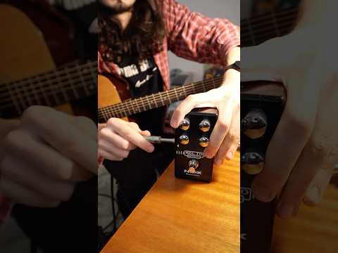 Connected the acoustic guitar to a distortion #distortion #guitar #guitarist #nux