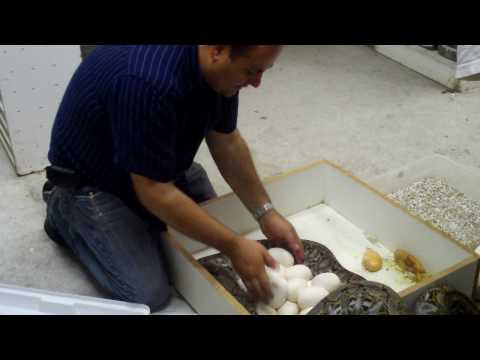 YouTube Video -qxJjYOwsaw