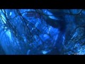 System of a Down-Spiders Lyrics HD 