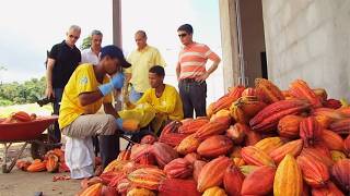 Thumbnail del capítulo