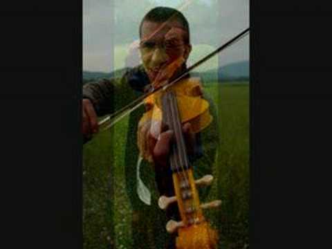 Milan in njegova prva violina