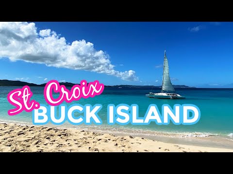 What to Expect on a Buck Island Tour in Beautiful St Croix U.S. Virgin Islands