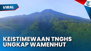 Keistimewaan Taman Nasional Gunung Halimun Salak Diungkap Wamenhut, Rumah Satwa Langka
