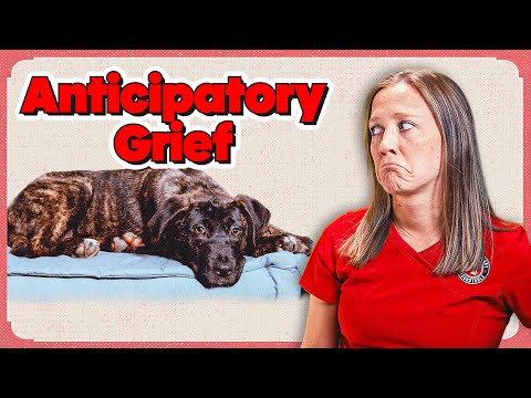 What No One Talks About With Anticipatory Grief and Pet Loss | The Veterinary Roundtable - EP139