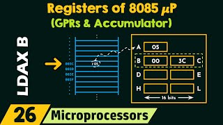 Registers of 8085 Microprocessor (GPRs and Accumulator)