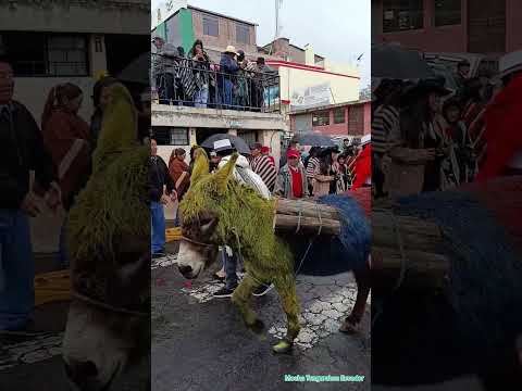 Mocha Tungurahua Ecuador #juanchogarcia #juangarcia #intykillari