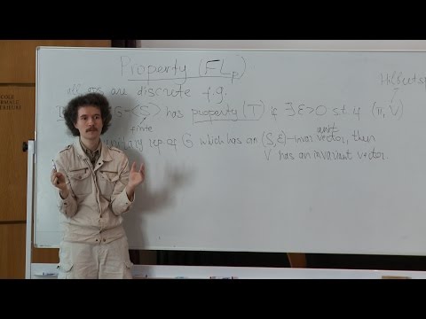 Mikhail Ershov - Property FLp for groups associated to graphs