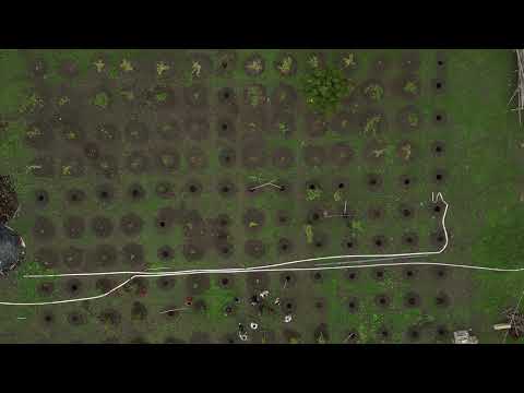 orchid making 2 Project Amoni for Recroots