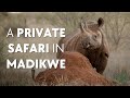 Madikwe Game Reserve