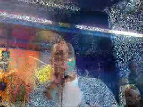 Eko Fresh, SDiddy, Farid Bang, G-Style & Summer Cem ---  Strassenfest in der Branx