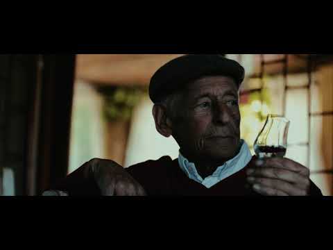 The Wilderer Story - 2023