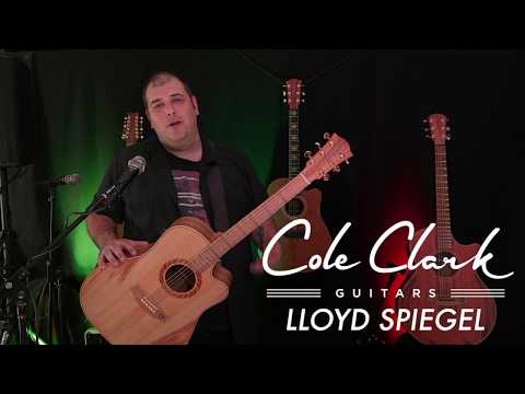 Cole Clark Angel 2 Series Auditorium AN2EC-RDBL Acoustic-Electric Guitar, Redwood Top image 14