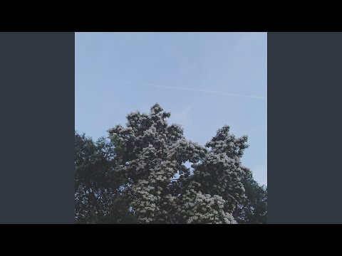 Video thumbnail for Long Nights