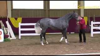 Video von Cornet's Call Out