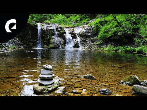 10 Hours of Relaxing River Sounds - Flowing Water and Forest Creek Ambience 🏞️