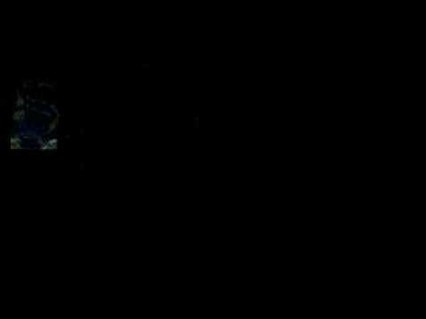 Siedzi mucha na scianie...