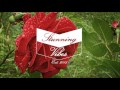 Ten Walls feat. Alex Radford - Shining 