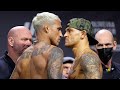 UFC 269: Final Faceoffs