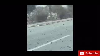 Locust are Still In Dubai  ,June 02,2020 (Part Two)