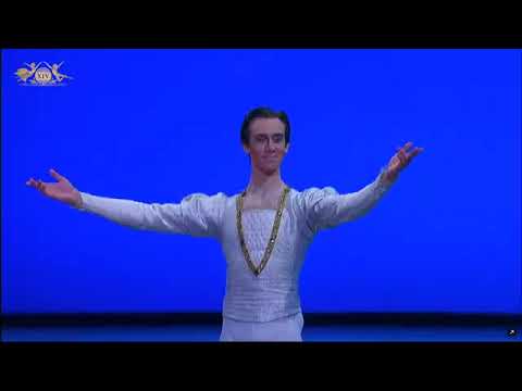 XIV Moscow Ballet Competition Dmitry Vyskubenko Siegfried Variation Ballet Magic