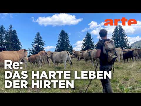 Video Thumbnail: Frankreichs Hirten: Gemeinsam für mehr Rechte | ARTE Re: