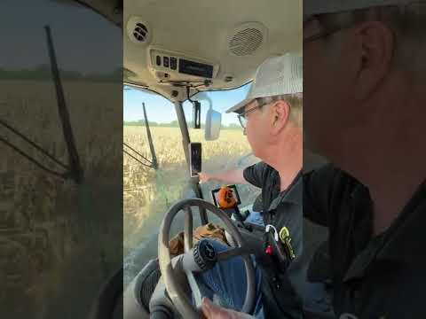 Grain Loss Monitor Tutorial with Marion Calmer