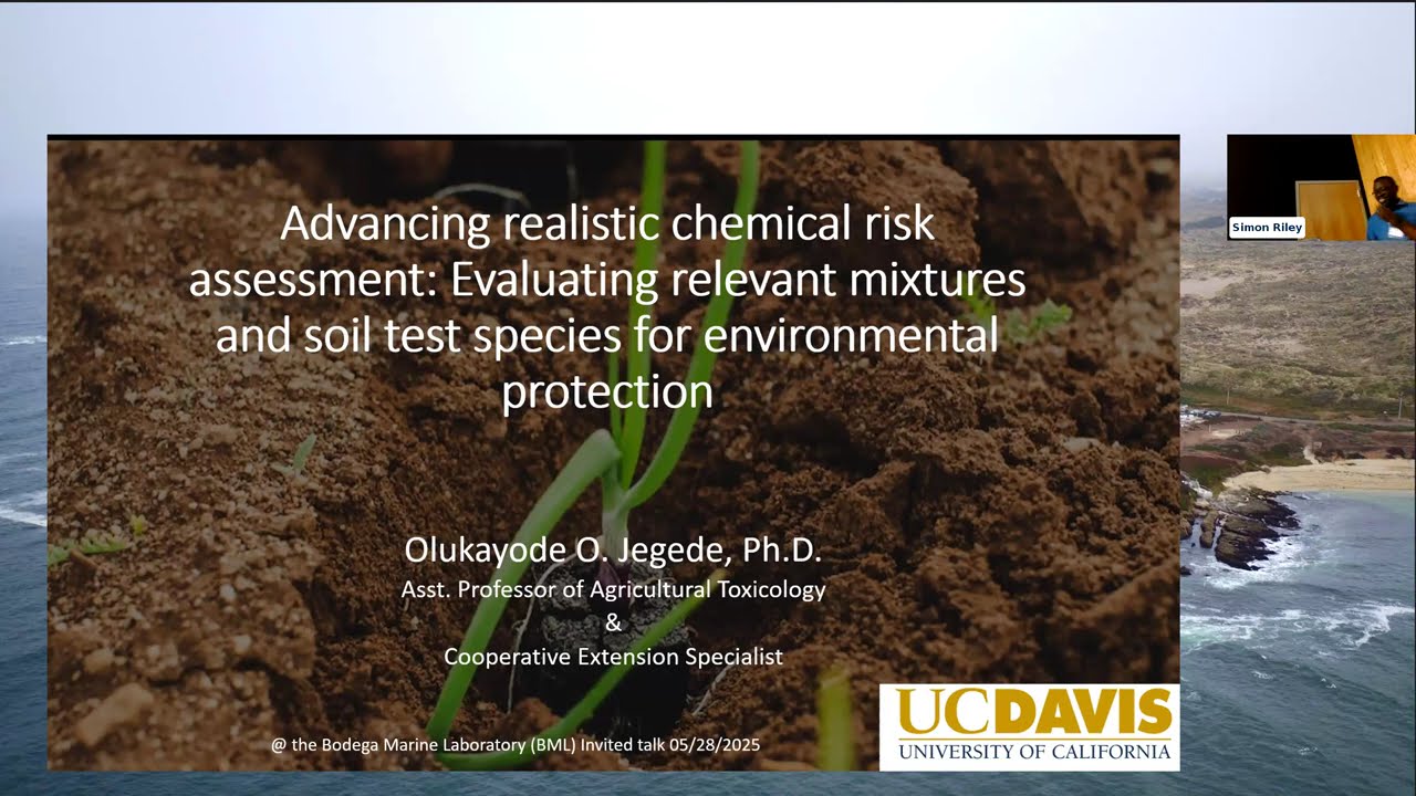 Environmental Toxicology Research and Soil Bioindicators