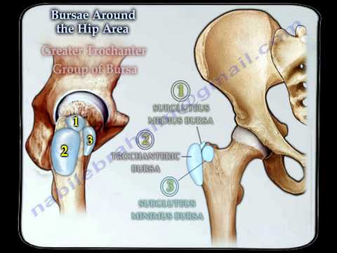 A deformáló artrózis kezelésének alapelvei