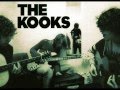 The Kooks - Do You Love Me Still (lyrics)