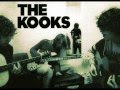 The Kooks - Do You Love Me Still (lyrics) 