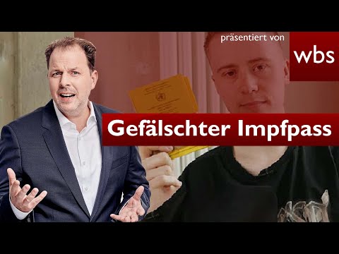 Marvin nutzt gefälschten Impfpass: Anwalt Solmecke REAGIERT